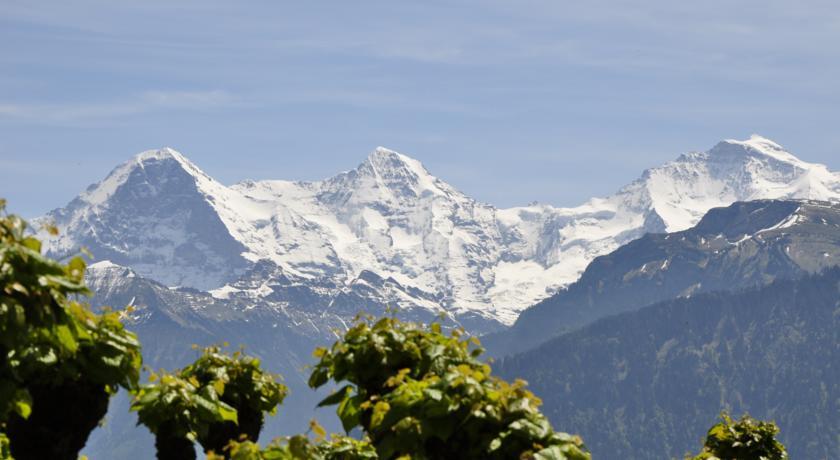 Hotel Schonegg Jungfrau Eksteriør billede